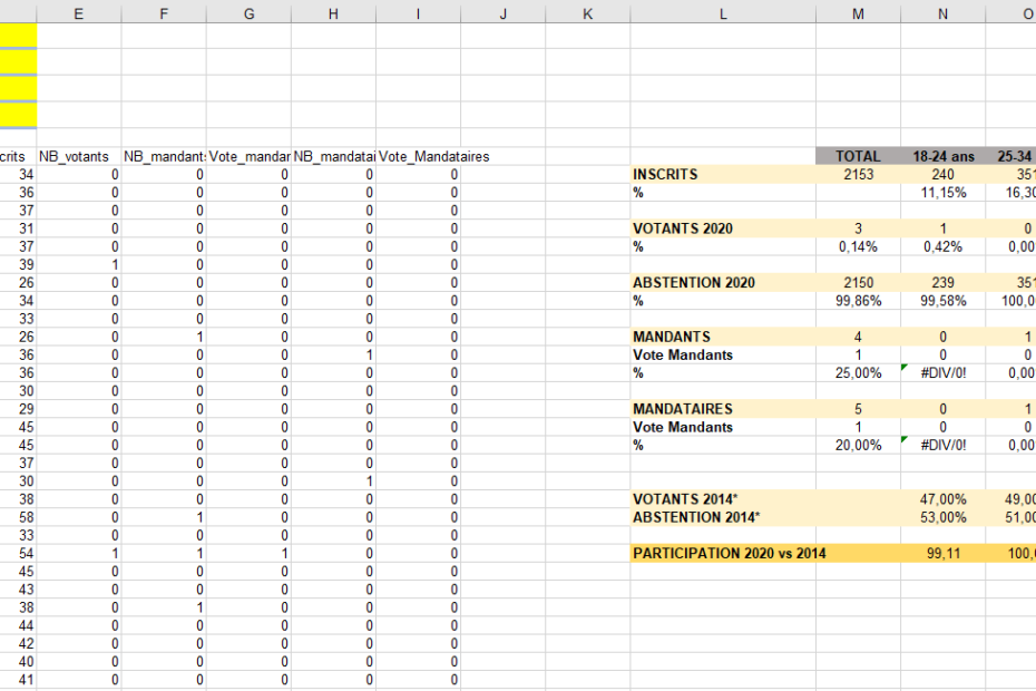 Analyse Des Emargements 50 Millions D Electeurs